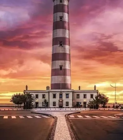 Lux 56 Da Aveiro A 20 Metros Da Lejlighed *