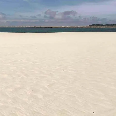 Lux 56 Da Aveiro A 20 Metros Da Lejlighed Barra