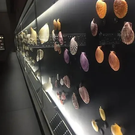 Lejlighed Lux 56 Da Aveiro A 20 Metros Da *