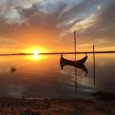 Lux 56 Da Aveiro A 20 Metros Da * Barra