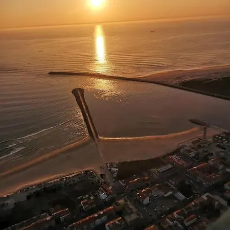 Lux 56 Da Aveiro A 20 Metros Da Lejlighed *