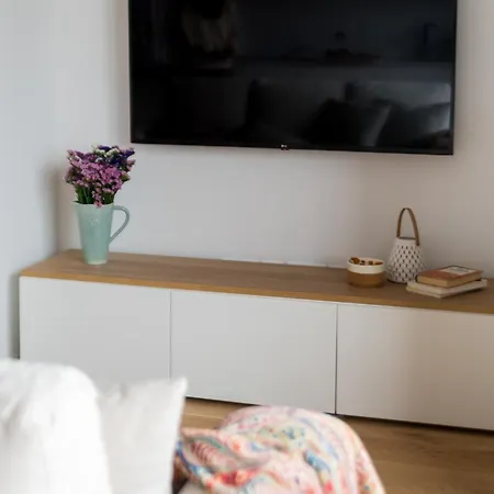 Lux 56 Da Aveiro A 20 Metros Da Lejlighed Barra